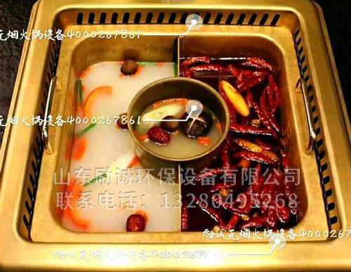 地排和自循环水净化都可以选择哪些锅体加热方式？